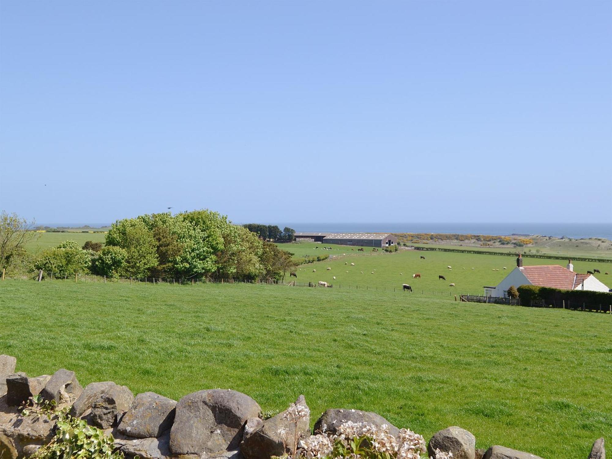 Eider Cottage Embleton  Buitenkant foto